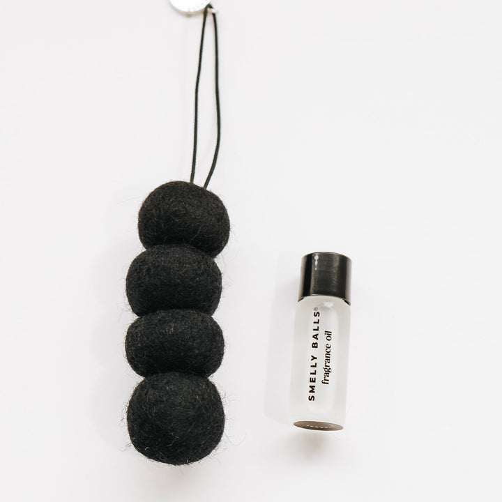 Smelly Balls  - 4 colours Reusable Car Air Freshener
