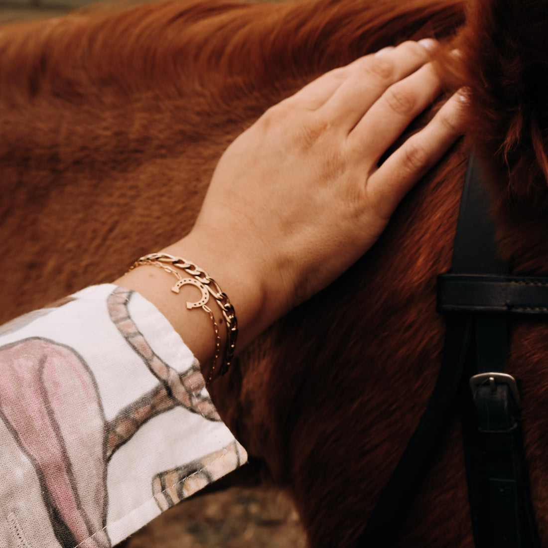 Horse Shoe Bundle