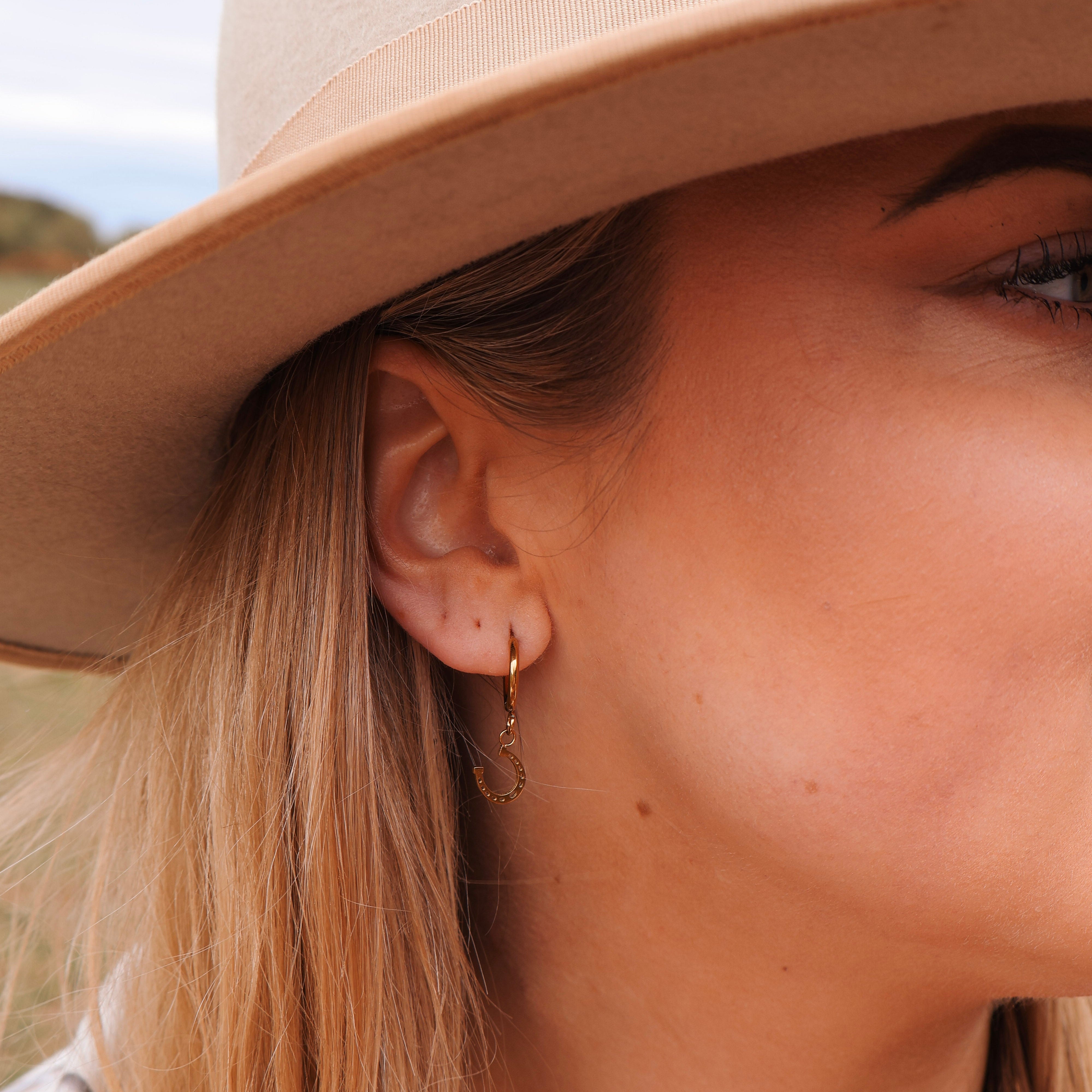 Horse Shoe Hoops