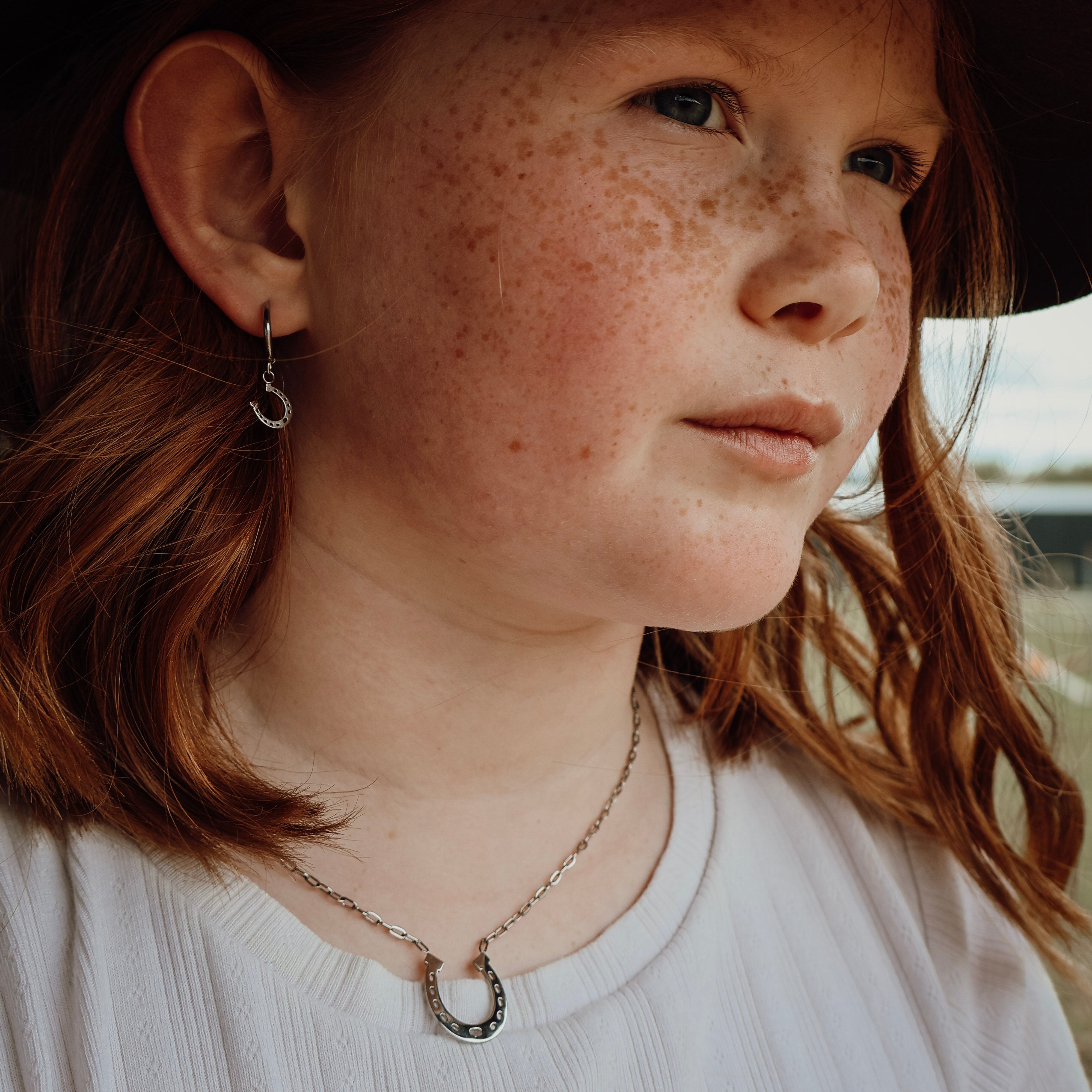 Horse Shoe Hoops
