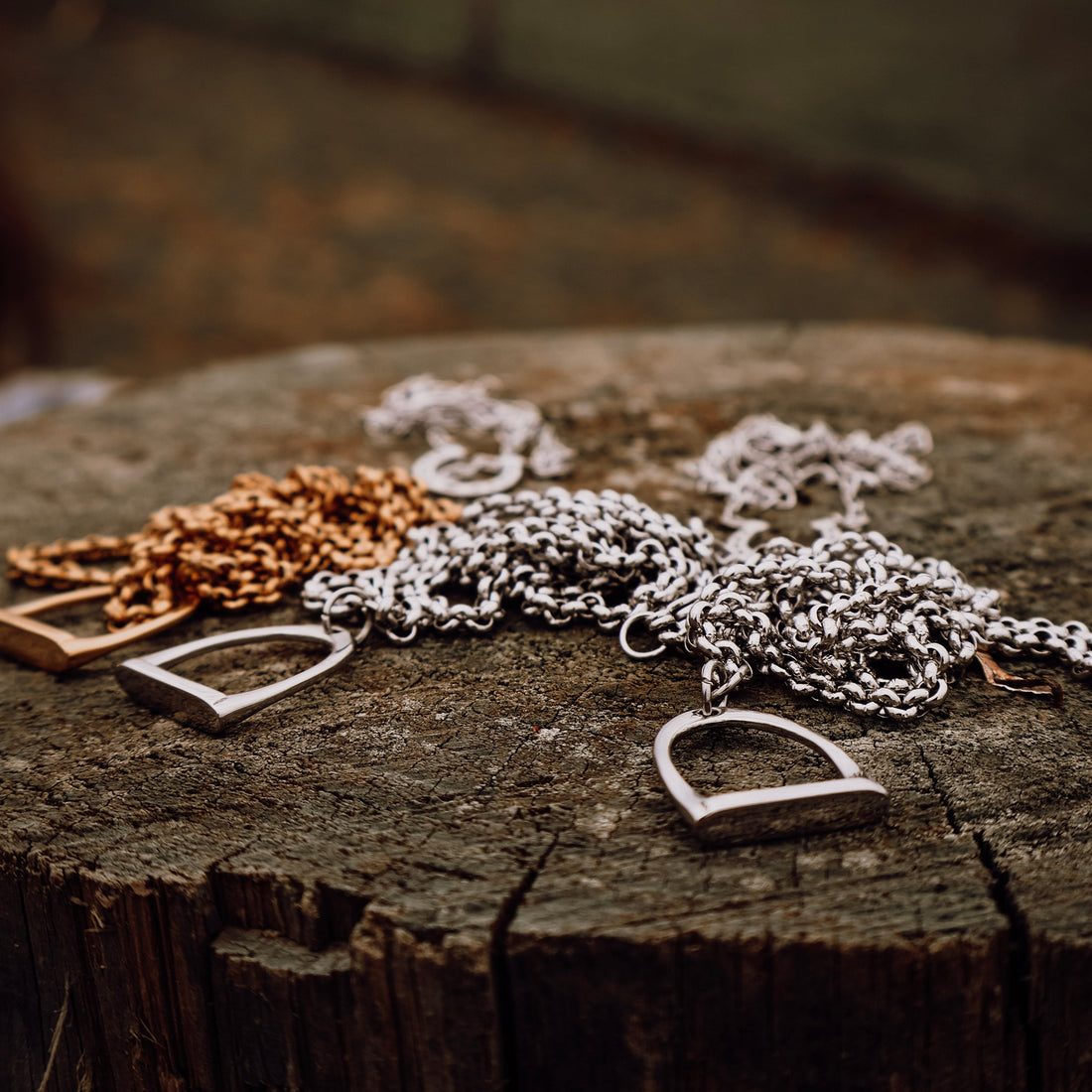 Stirrup Necklace